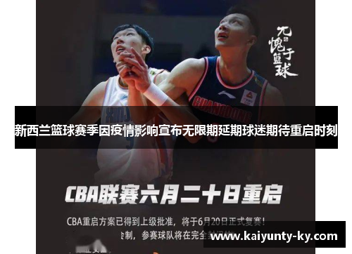新西兰篮球赛季因疫情影响宣布无限期延期球迷期待重启时刻
