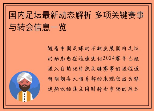 国内足坛最新动态解析 多项关键赛事与转会信息一览