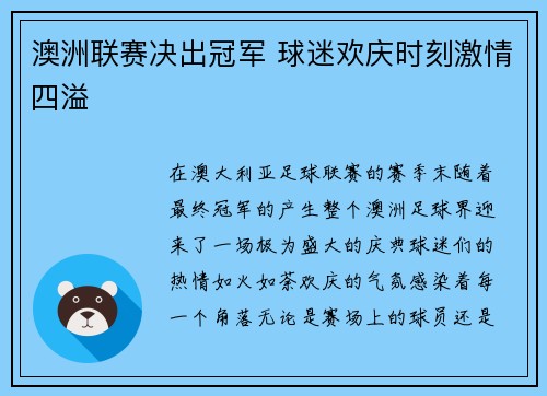 澳洲联赛决出冠军 球迷欢庆时刻激情四溢