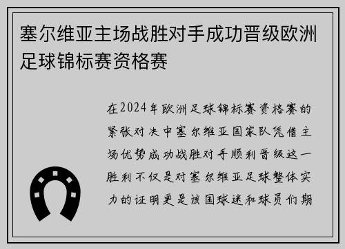 塞尔维亚主场战胜对手成功晋级欧洲足球锦标赛资格赛